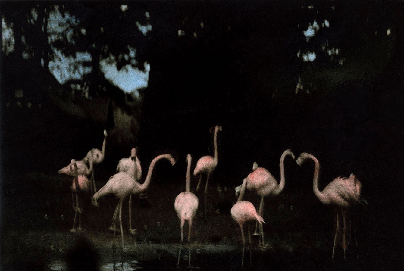 011 Ming Smith GUND (2).jpg