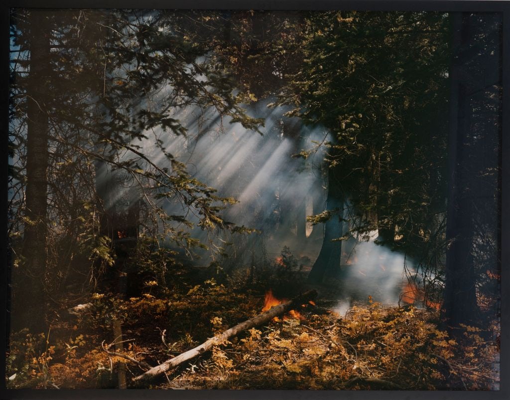 An photograph of the woods with foggy diagonal smoke rays, green foliage, and dried leaves on fire on the forest floor.
