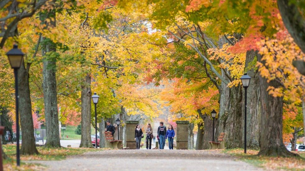Middle Path in the fall with leaves bright orange and yellow.