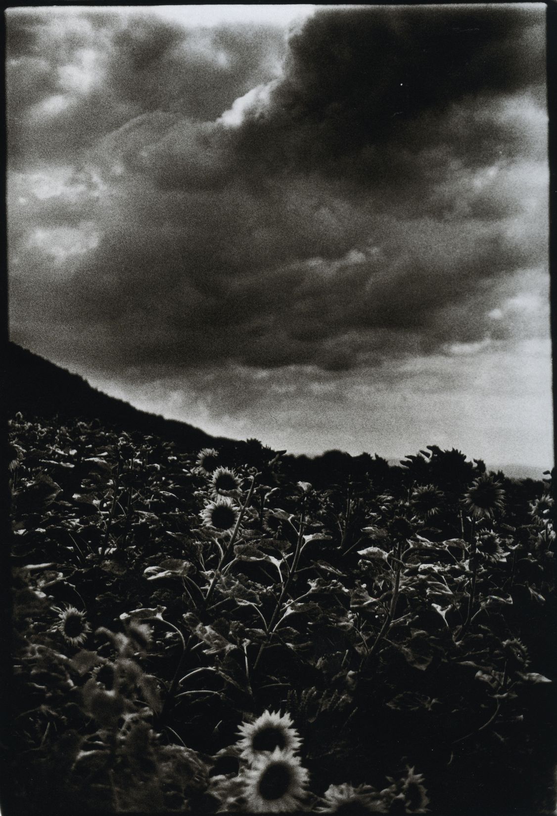 012 Ming Smith GUND (2).jpg