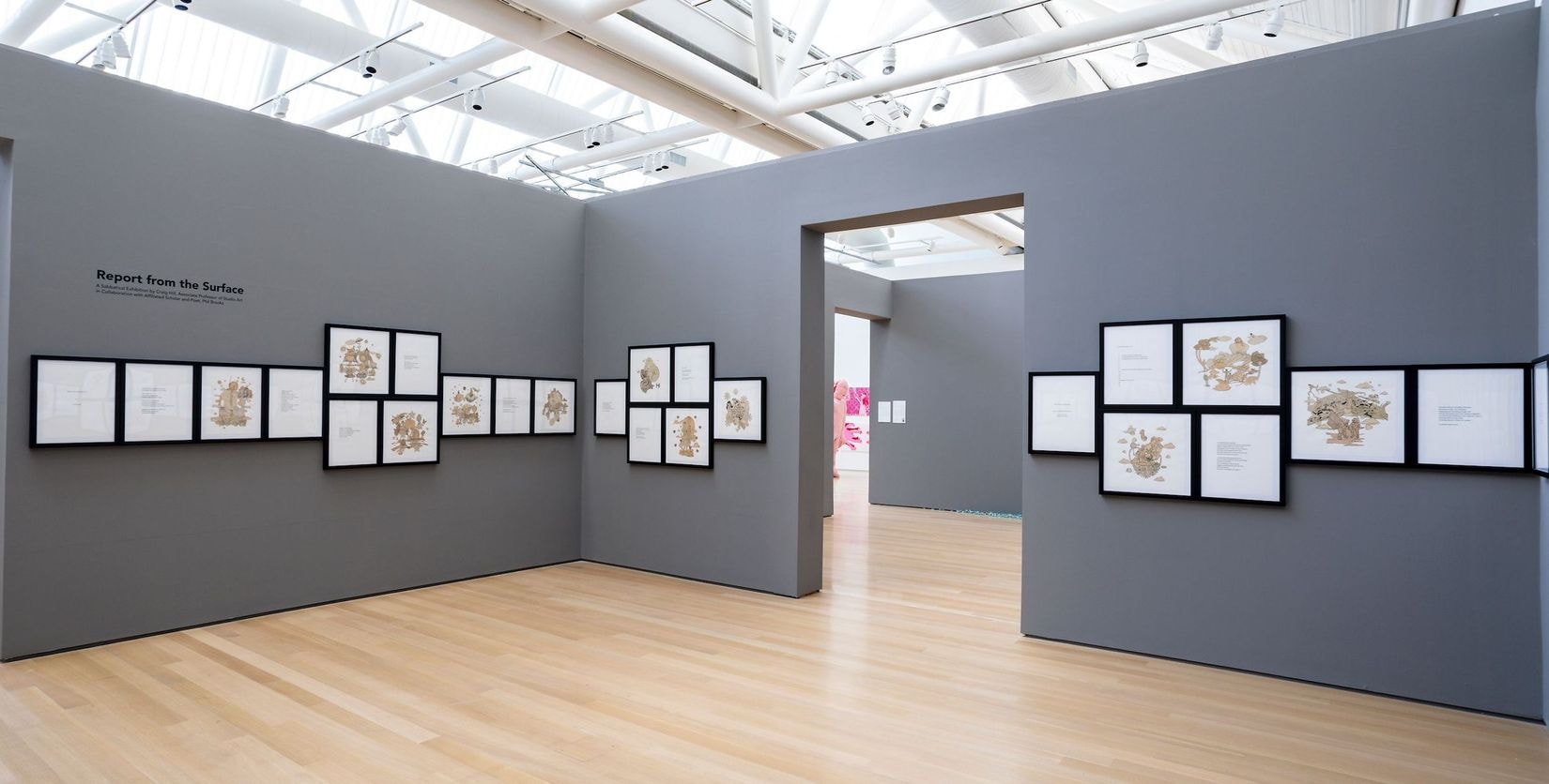 Installation image of Report from the Surface