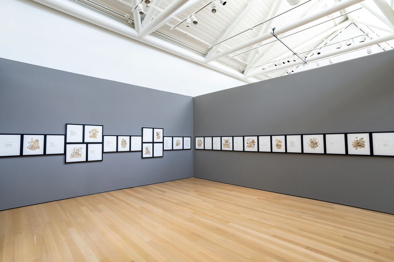 Installation image of Report from the Surface