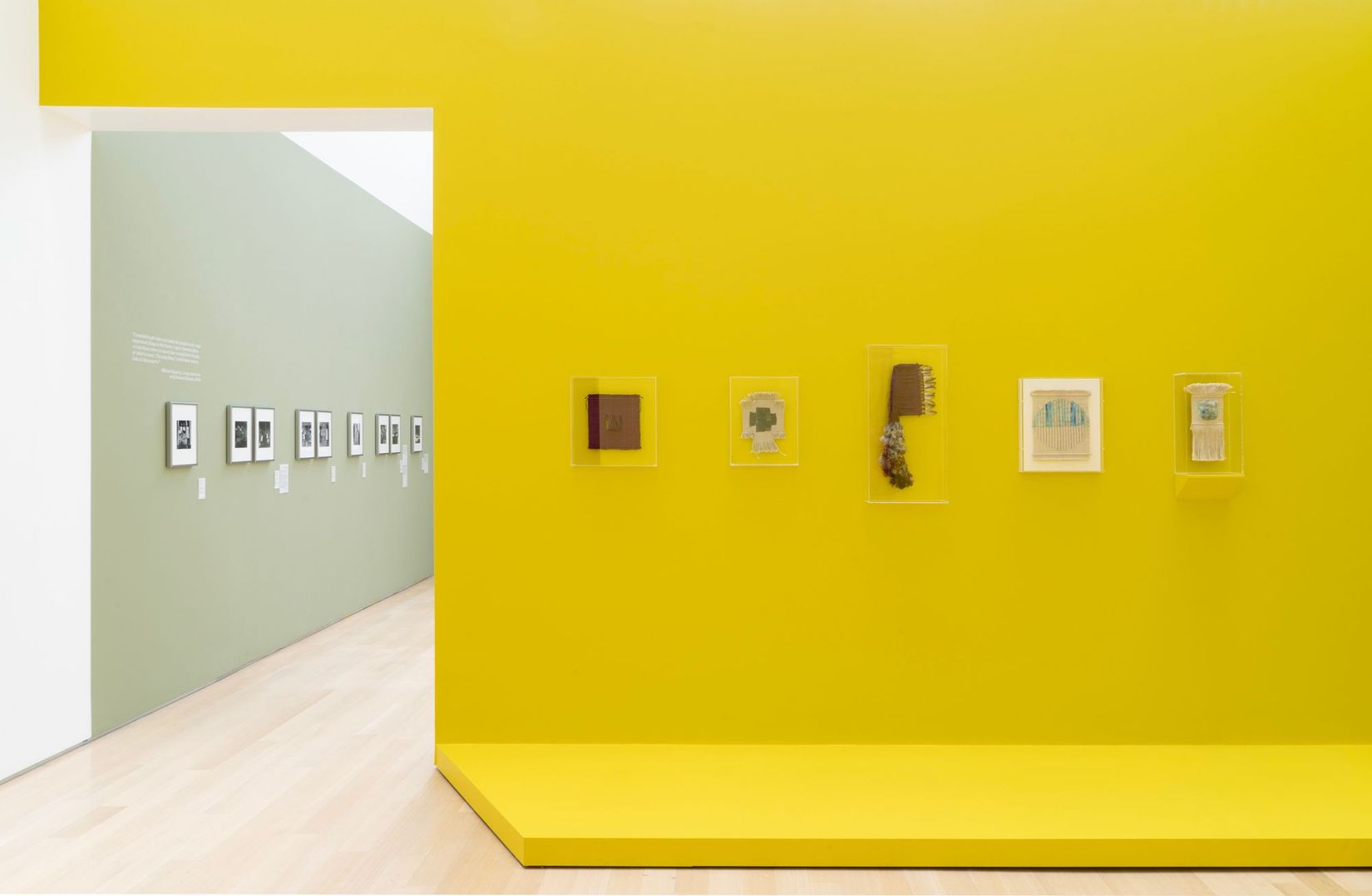 Copy of DSC00046.jpg