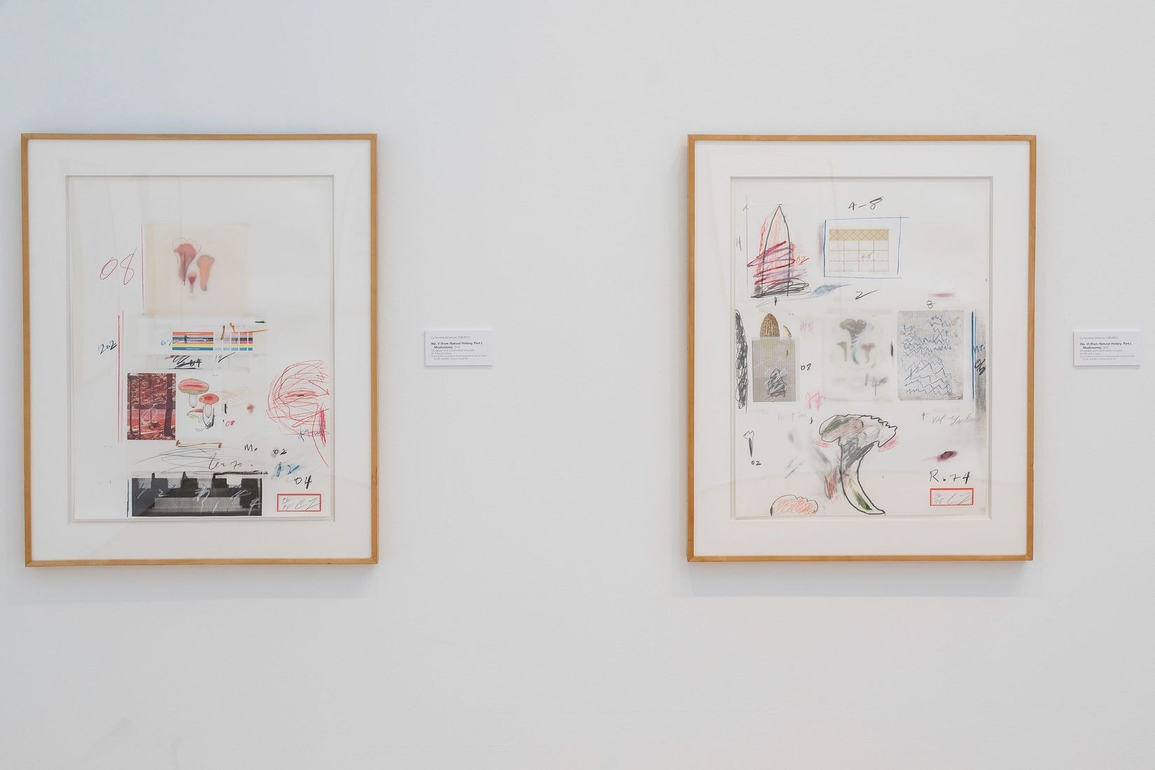 Cy Twombly_0917.jpeg