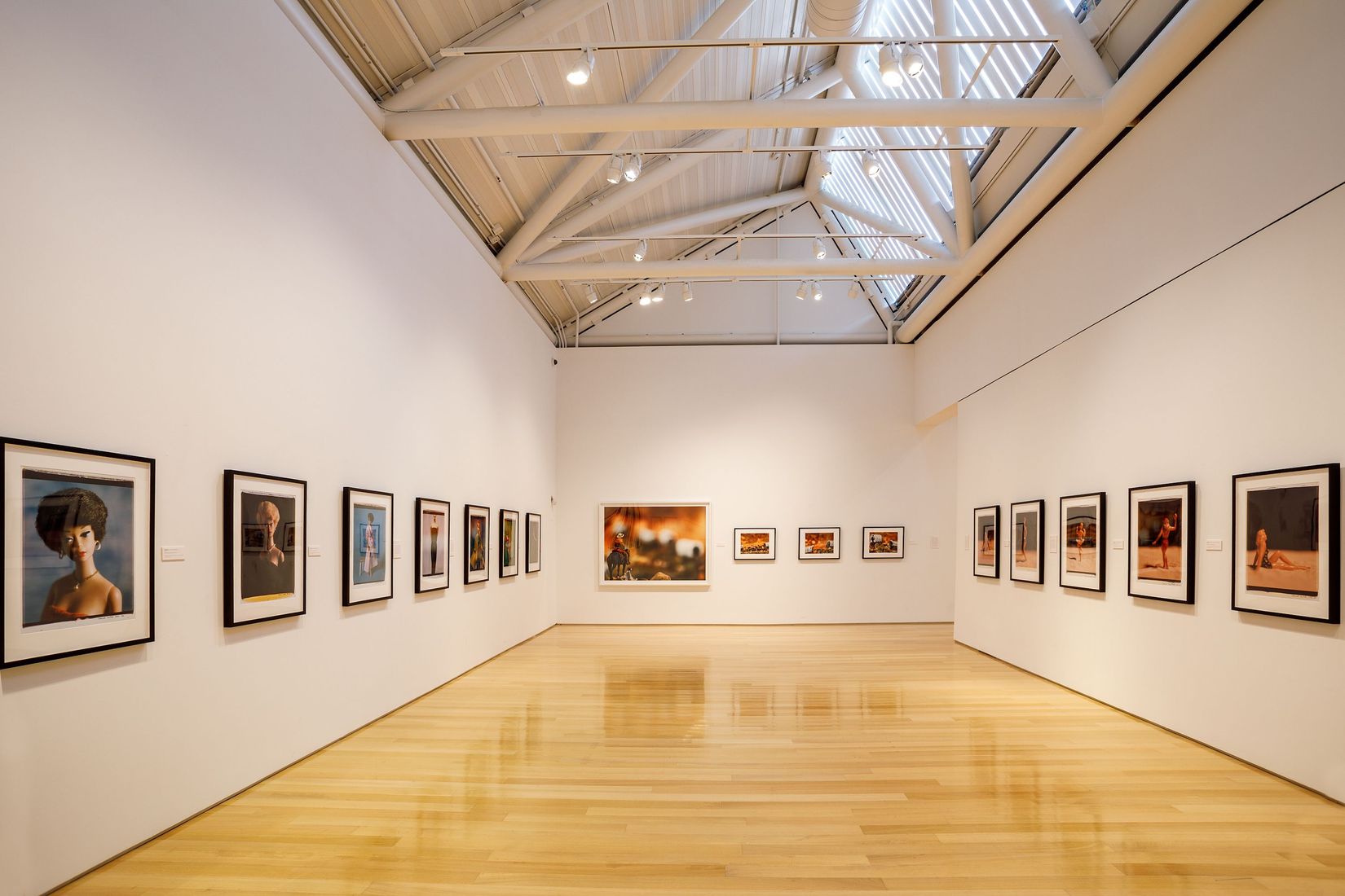 David Levinthal_3894 (1).jpeg