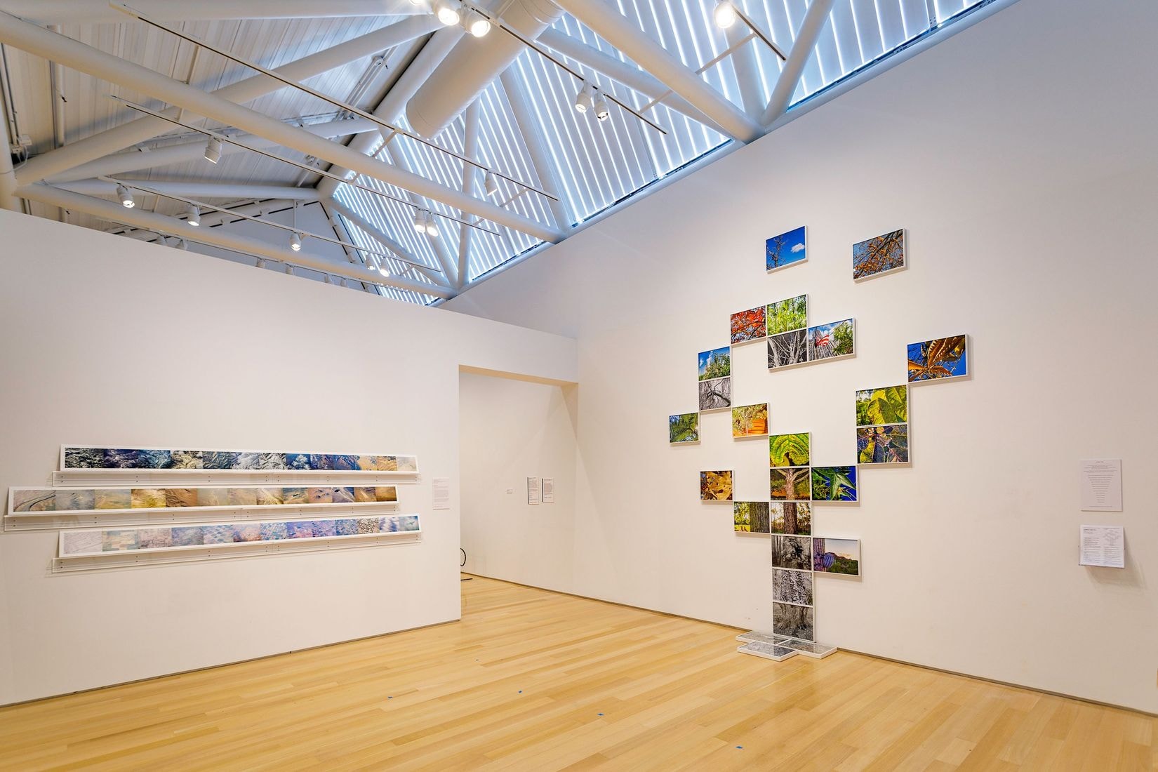 Greg Spaid_9045 (1).jpeg