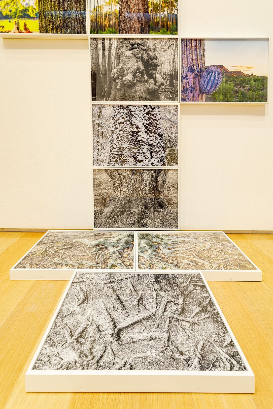 Greg Spaid_9121 (1).jpeg